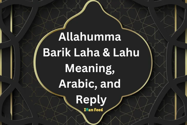 Allahumma Barik Laha & Lahu Meaning, Arabic, and Reply 8 Allahumma Barik Laha & Lahu Meaning, Arabic, and Reply